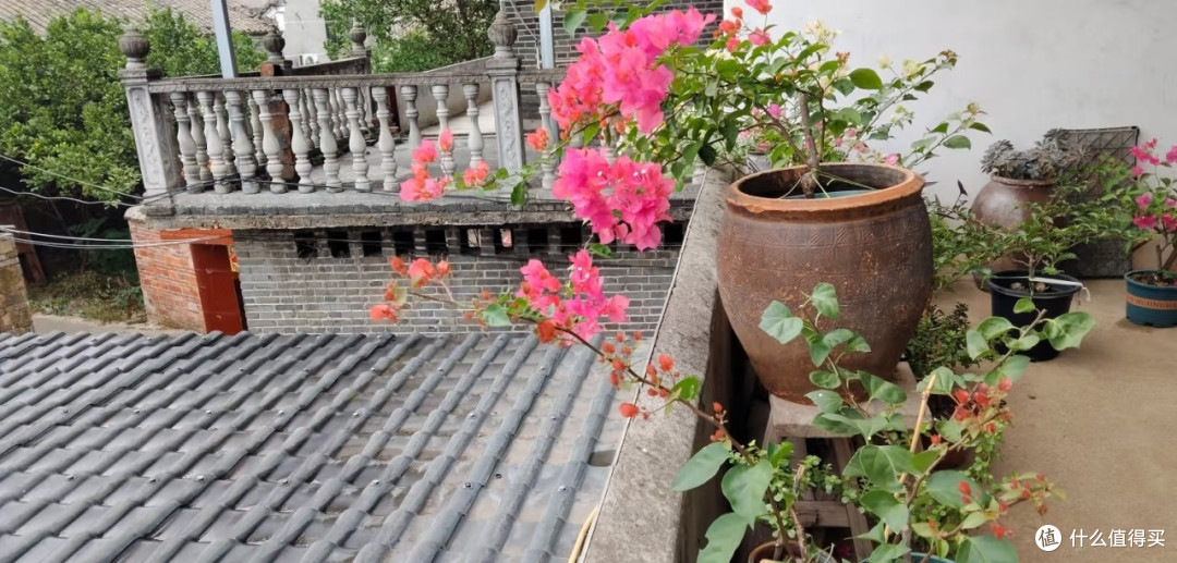 湖南一对夫妻，因“捡老陶罐养花”火了：好看好用，艺术感满满！