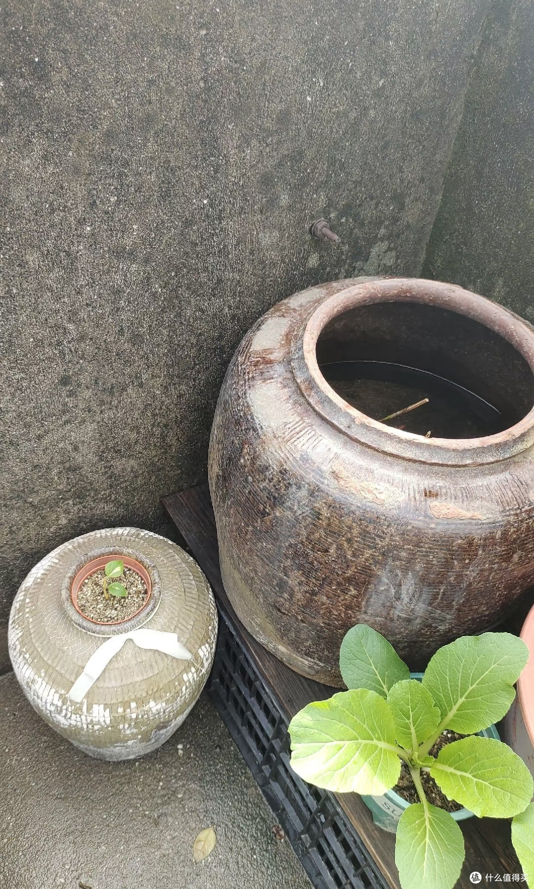 湖南一对夫妻，因“捡老陶罐养花”火了：好看好用，艺术感满满！