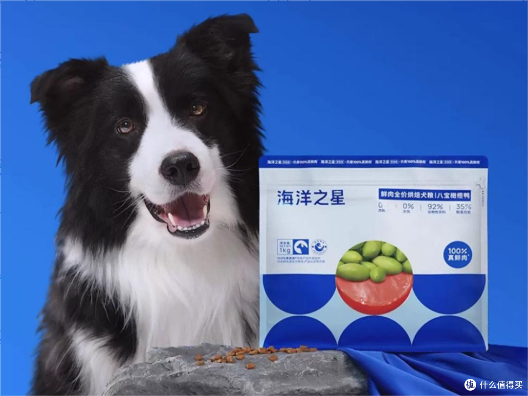 泰迪吃什么牌子狗粮最好最健康？国产狗粮牌子排行榜前3精选分享