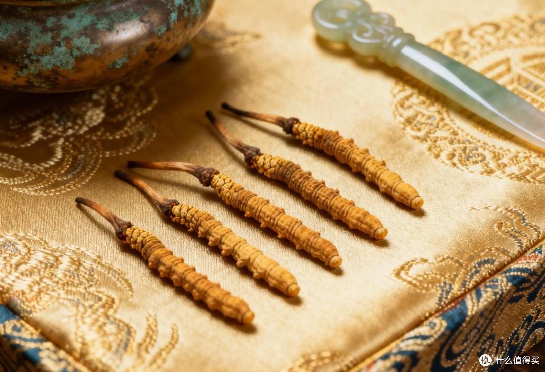 中国十大冬虫夏草品牌有哪些？央视推荐，榜首滋补更显著