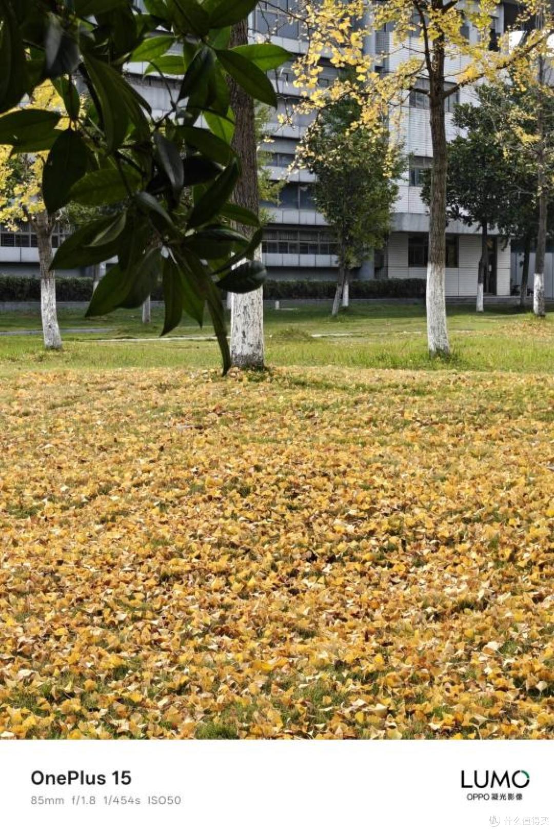 全能旗舰还是性能倒退？一加15到底值不值买？一文讲清楚！