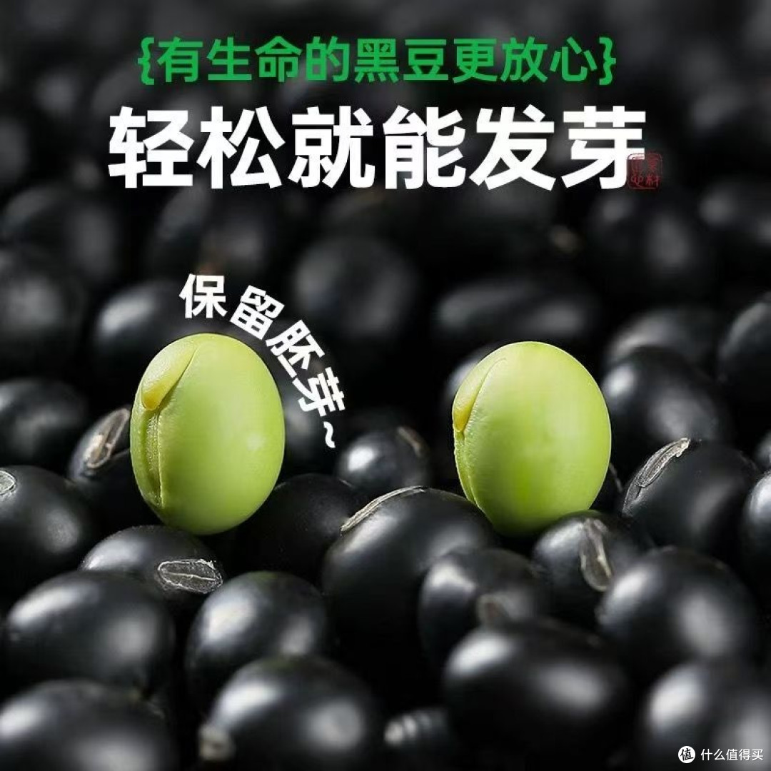 汾都香绿芯黑豆:寻味黑土地的自然馈赠