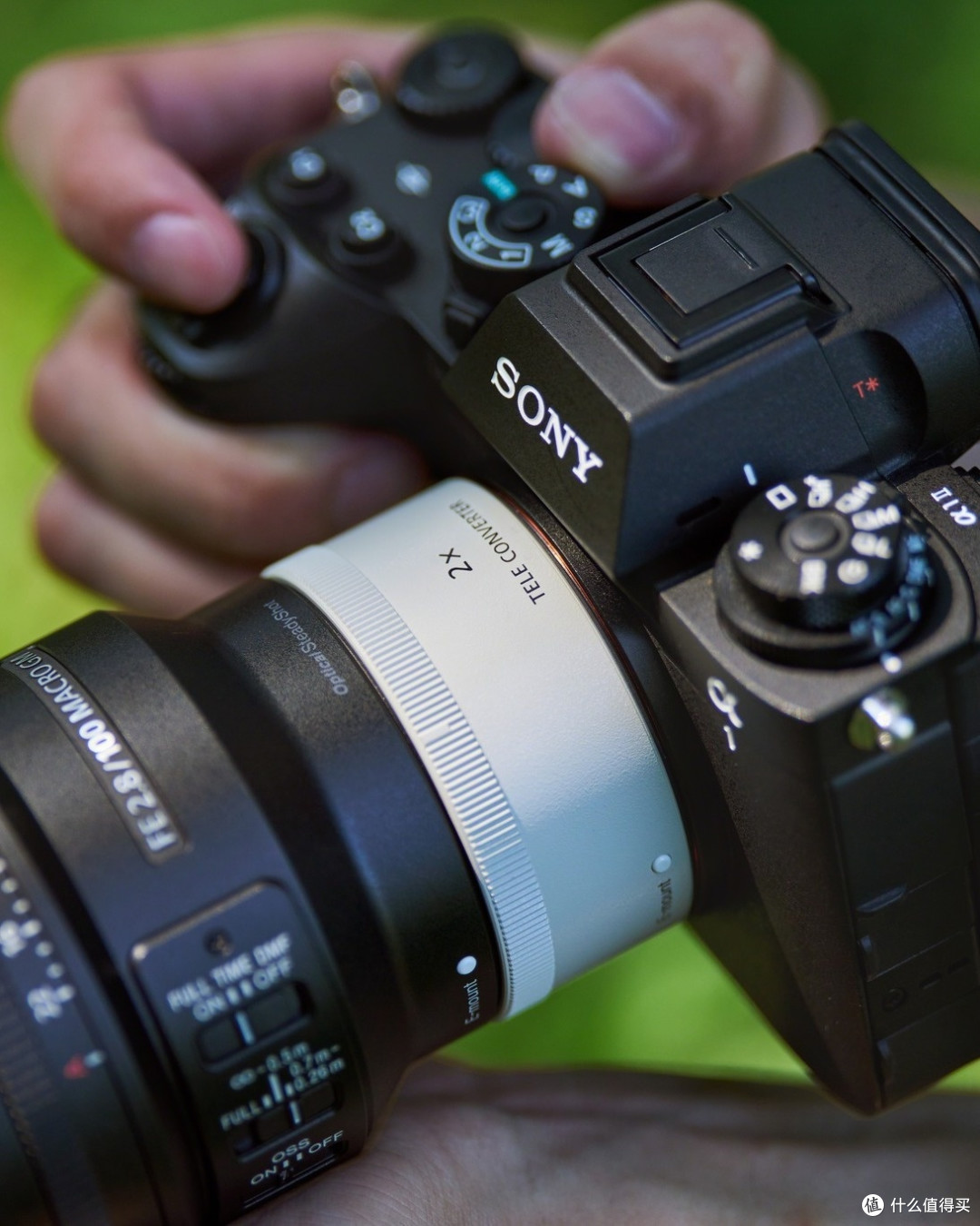顶级微距镜头!索尼新品FE 100mm F2.8 GM OSS微距镜头