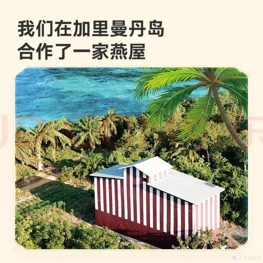 高性价比全家滋补优选