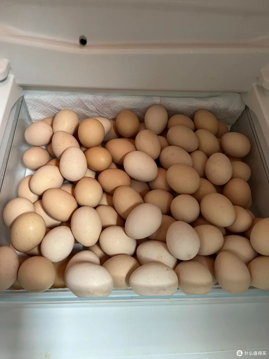 晒晒网友8个让人难以理解的家居行为:看似很懒很脏,其实巨健康