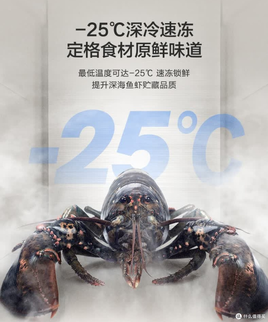 小户型必备!331升容声冰箱