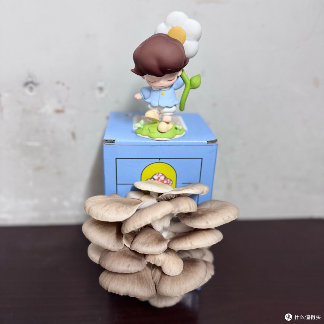 理性规划消费贷,让便利不变负担