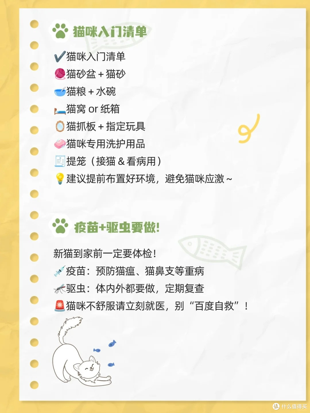 新手养猫避坑指南!踩过 8 个雷后,这篇干货救了我🐱