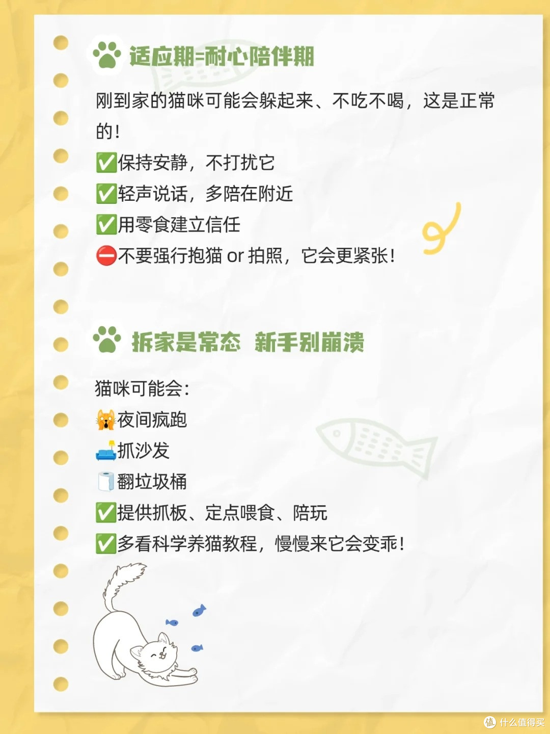 新手养猫避坑指南!踩过 8 个雷后,这篇干货救了我🐱