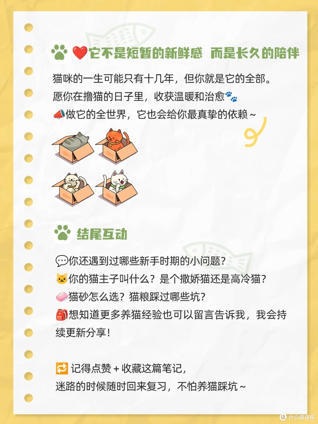 新手养猫避坑指南!踩过 8 个雷后,这篇干货救了我🐱