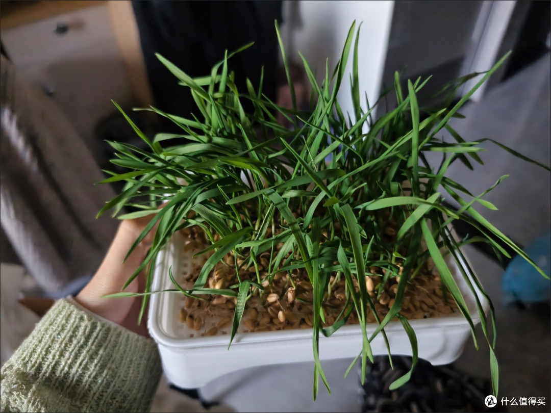 个人消费贷款财政贴息政策:开启消费与理财双赢新局