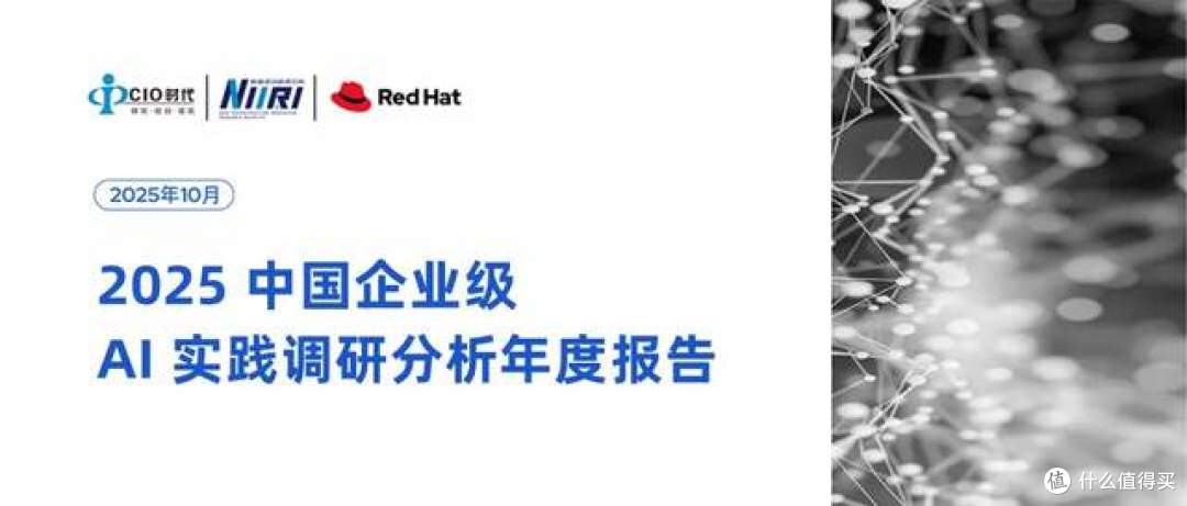 2025 中国企业级 AI 实践调研分析年度报告：深度剖析与价值洞察