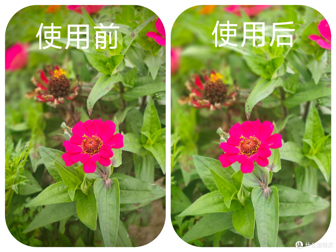 几块钱的手机拍照神器,质感飙升,后悔没早买的小玩意!