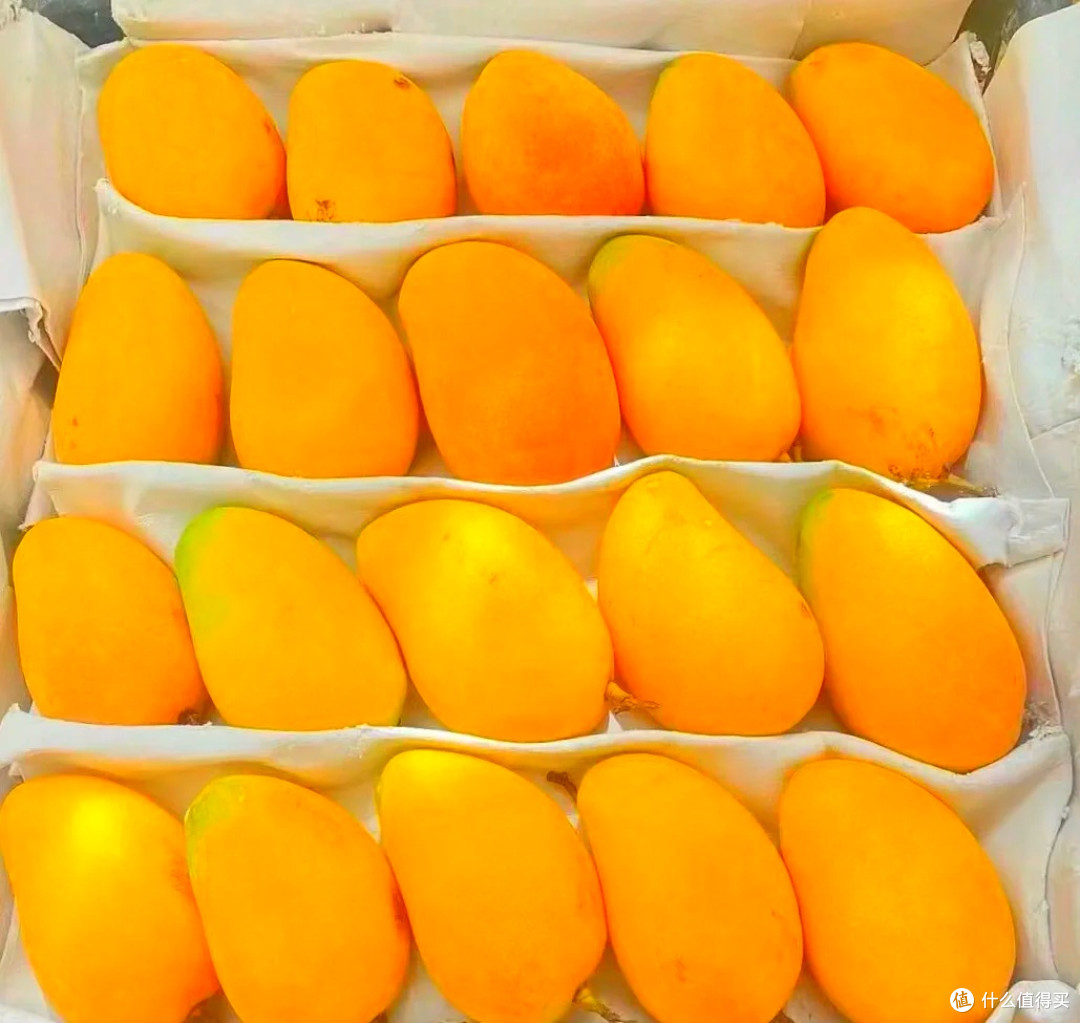 田东周边游:好物藏情,童趣与乡韵交织