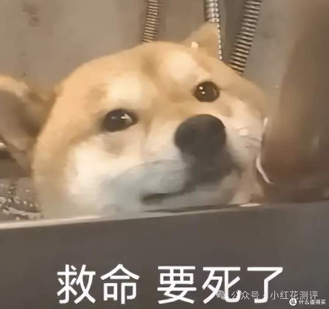 饭店做菜偷加抗生素!相关部门做数学题破案