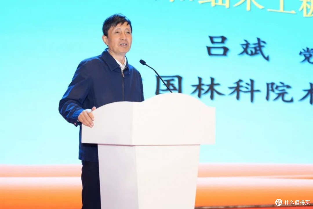 耀东华共话胶合板与细木工板高质量发展新路径