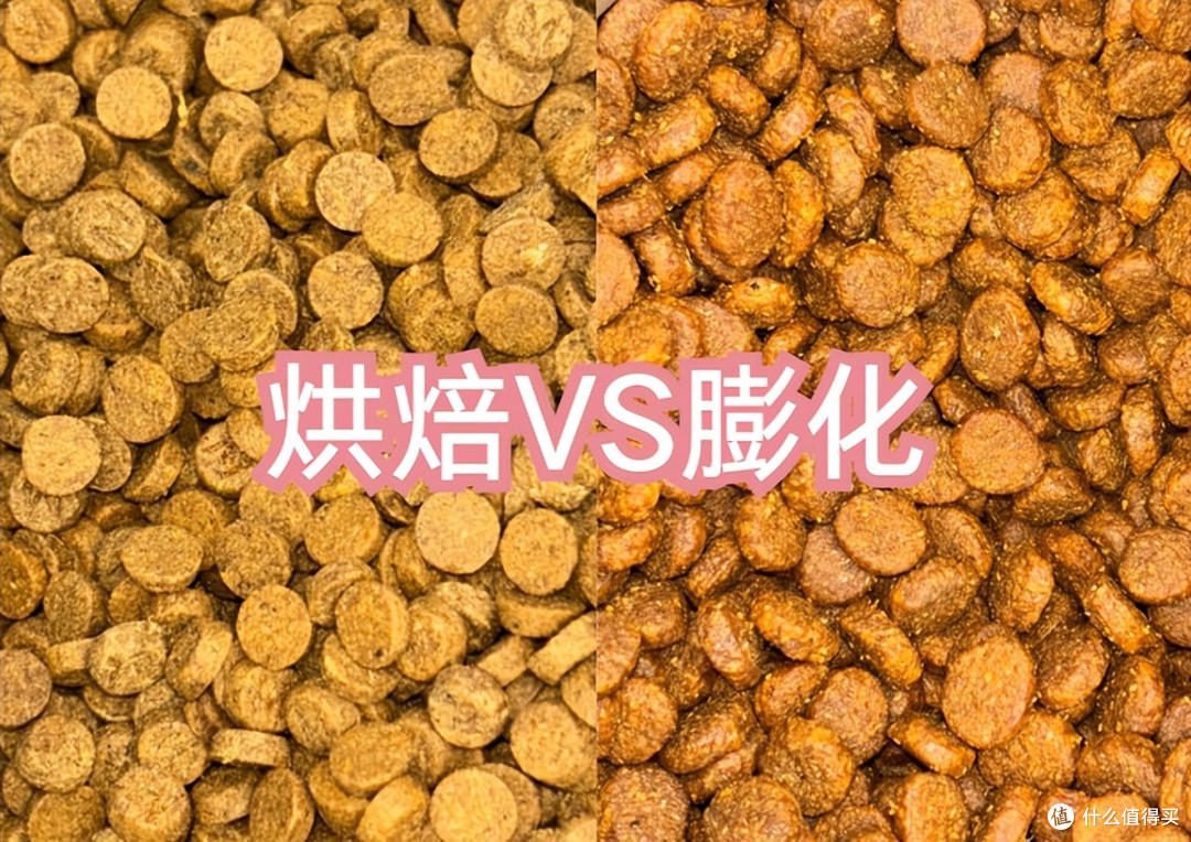 十大知名狗粮品牌对比测评，教你怎么判断狗粮的好坏，狗狗放心吃