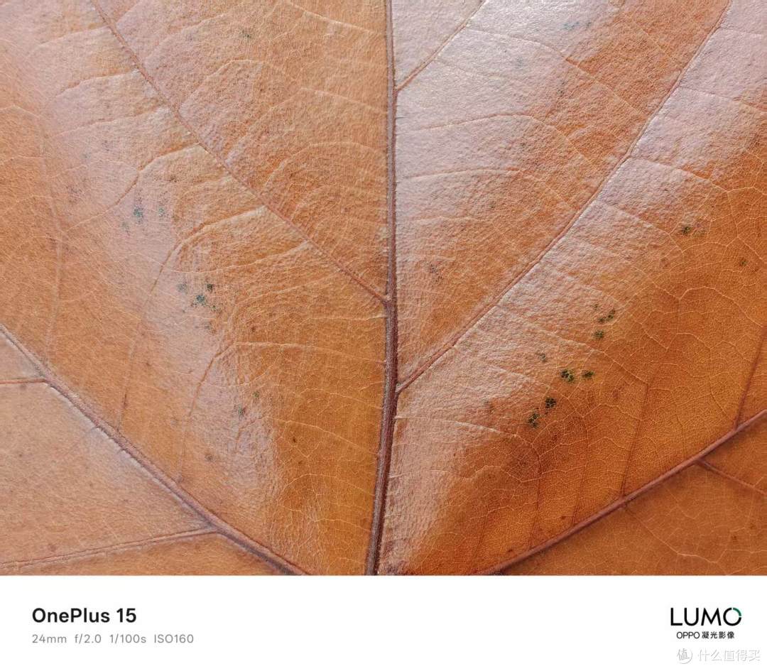 一加15与iQOO 15谁才是性能与体验的终极之选？