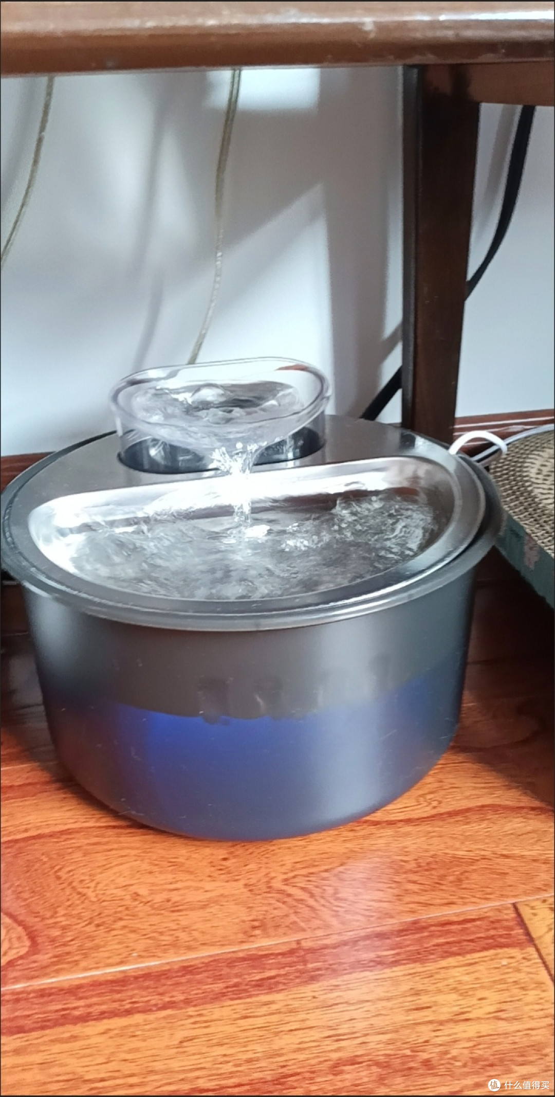 养宠党狂喜！FURPIPI自动喂食器直接解放双手