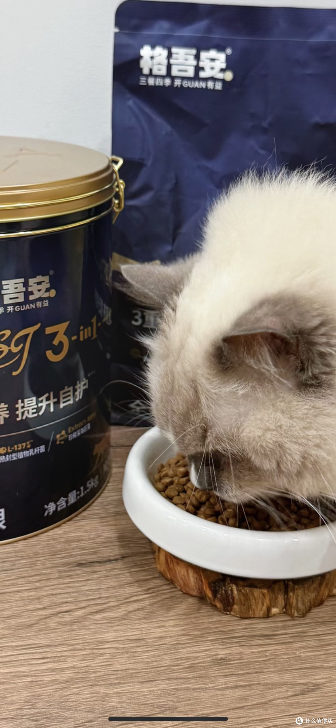 海洋之星猫粮:健康与经济的平衡