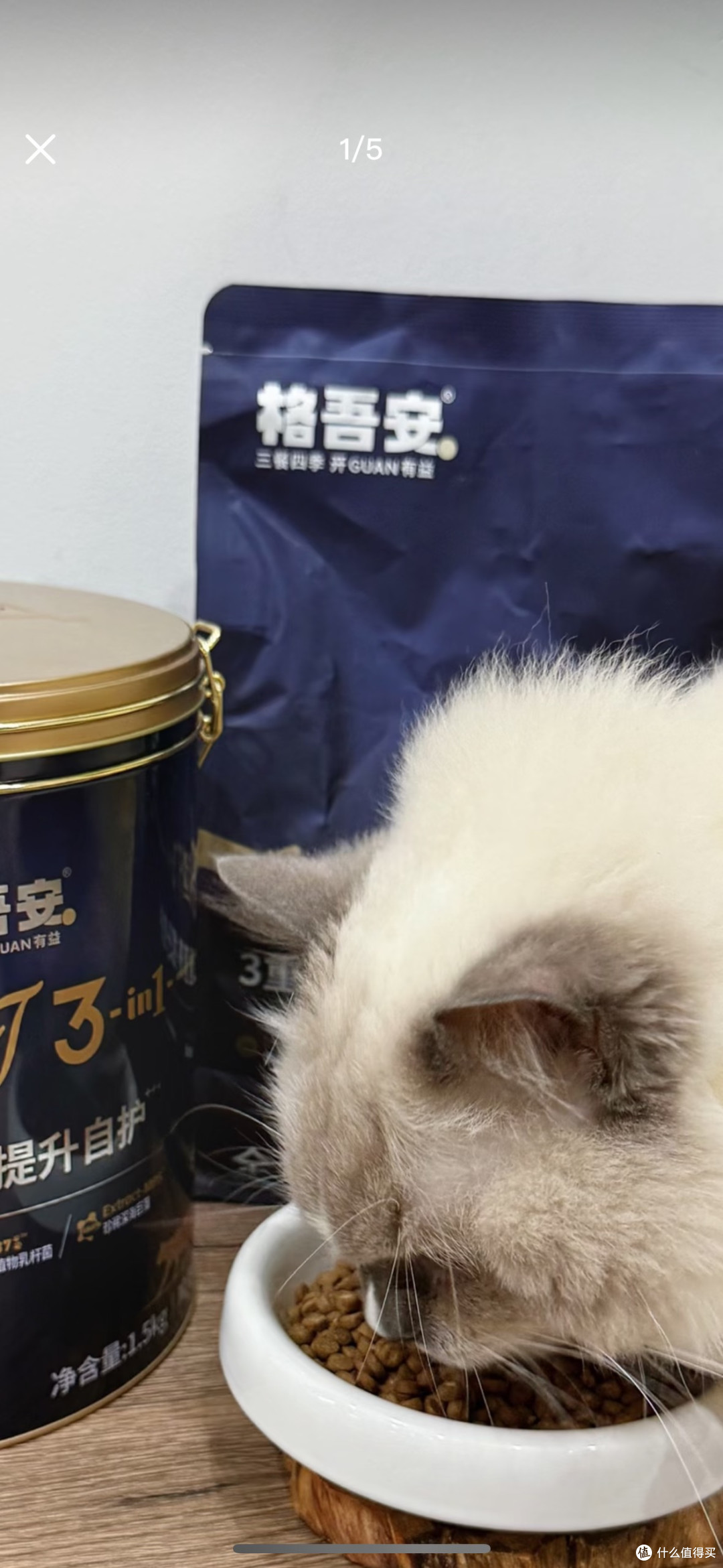 海洋之星猫粮：健康与经济的平衡