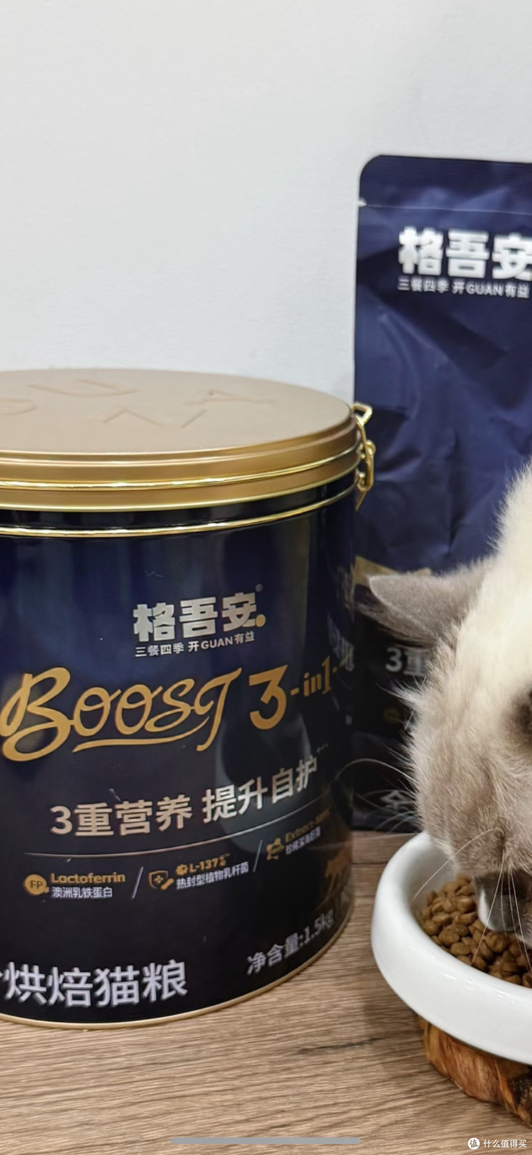 海洋之星猫粮:健康与经济的平衡