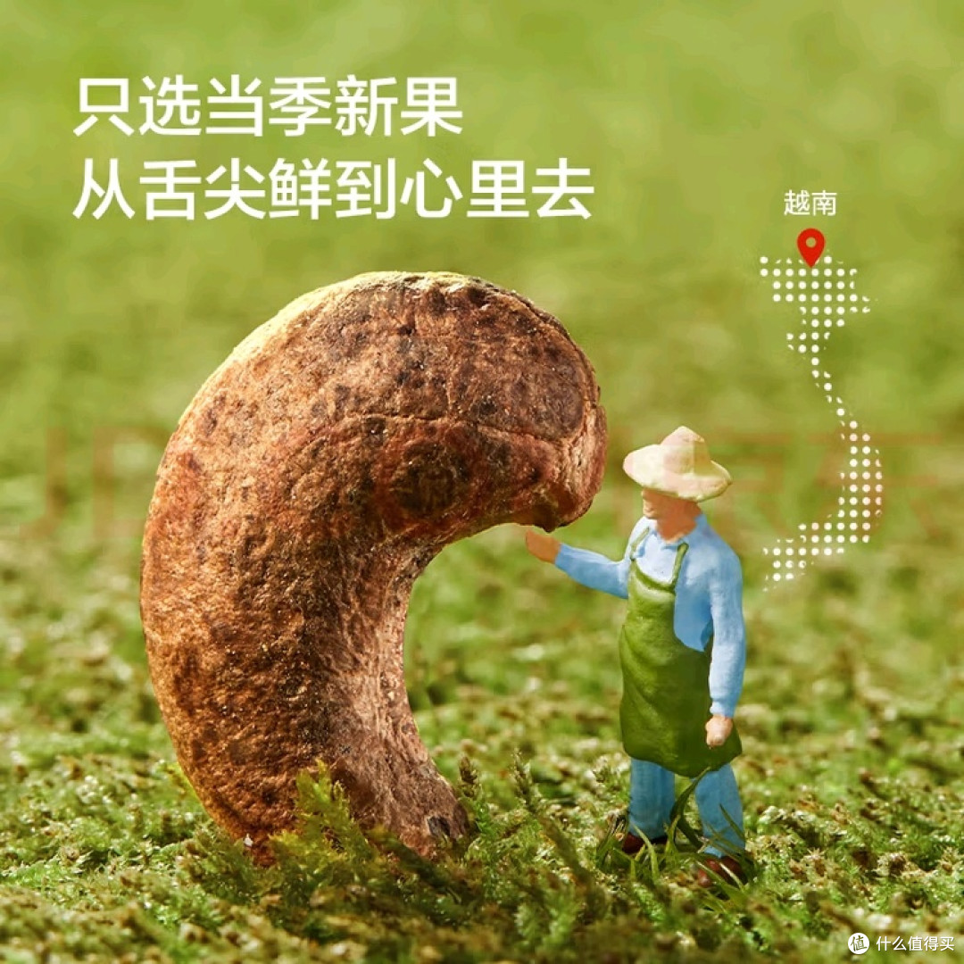 京东京造紫衣腰果:重塑零食仪式感