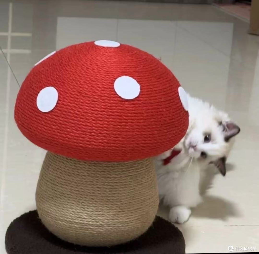 蘑菇云朵猫抓柱：给猫咪一个释放天性的快乐星球