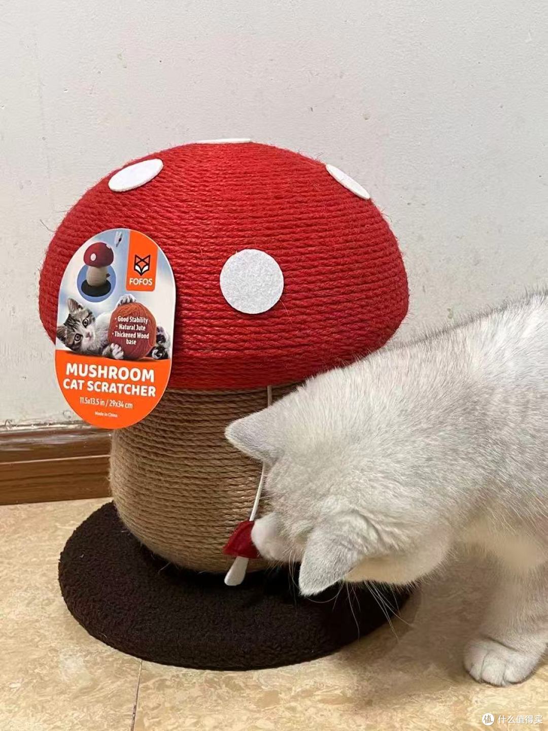 蘑菇云朵猫抓柱：给猫咪一个释放天性的快乐星球