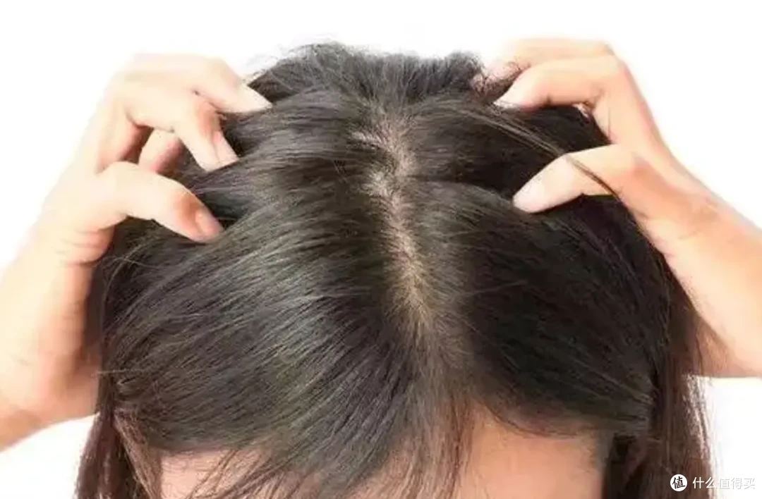 育妍堂,做程序员最靠谱的“发量后盾”