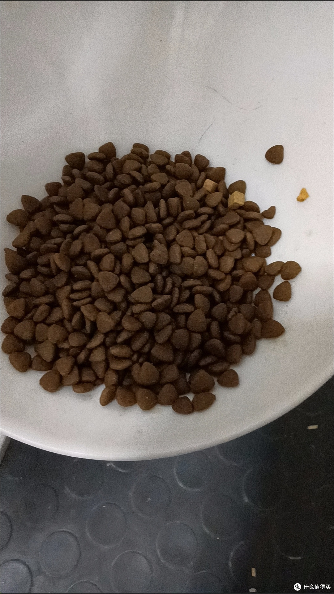 双十一养宠囤货王!诚实一口P32冻干猫粮,猫咪美毛又长肉