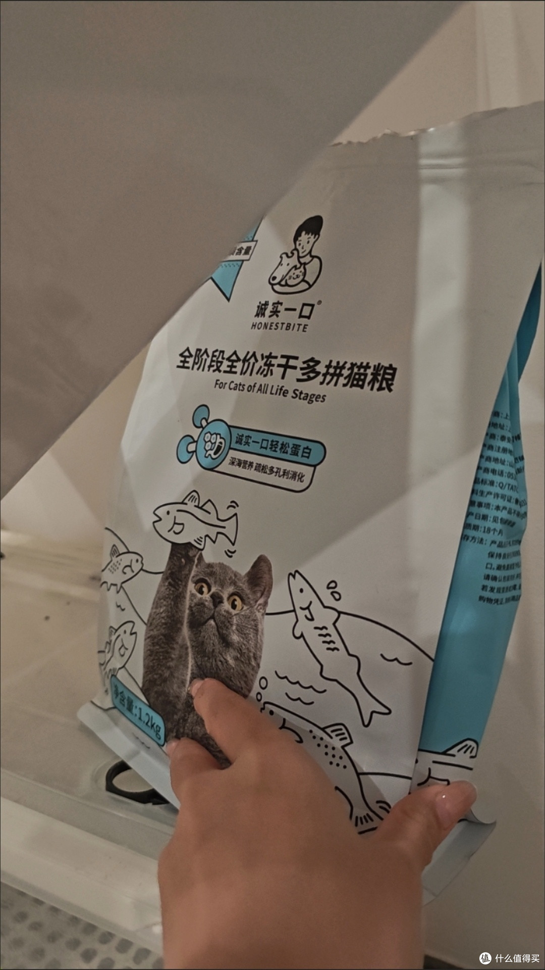 双十一养宠囤货王!诚实一口P32冻干猫粮,猫咪美毛又长肉