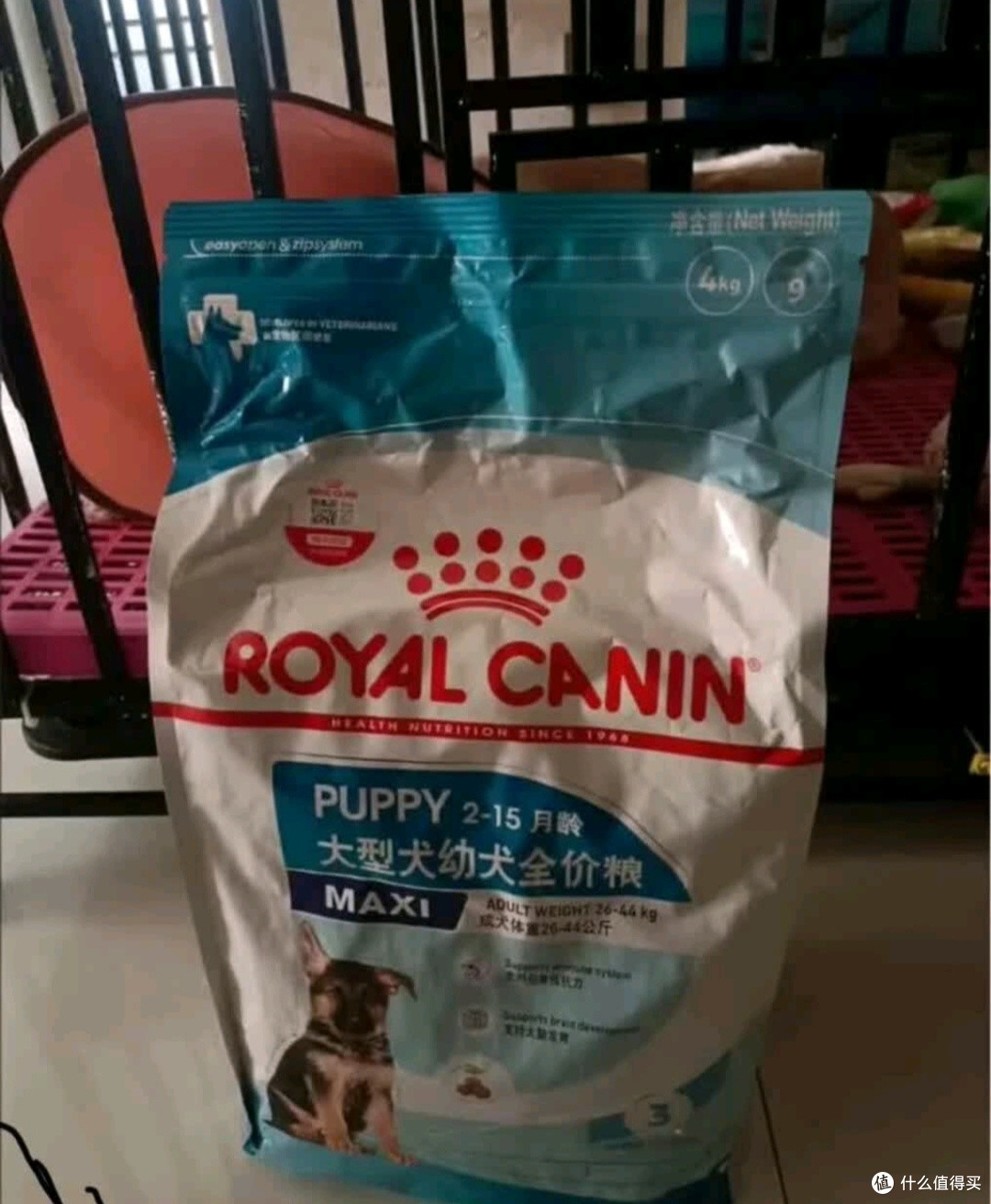 让毛孩子吃得健康——我的皇家狗粮体验