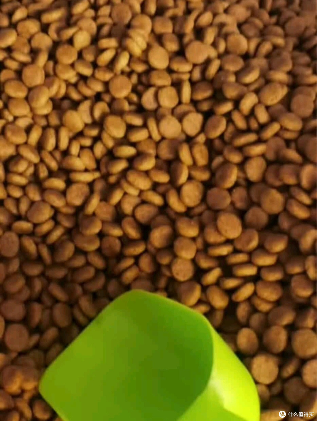 让毛孩子吃得健康——我的皇家狗粮体验