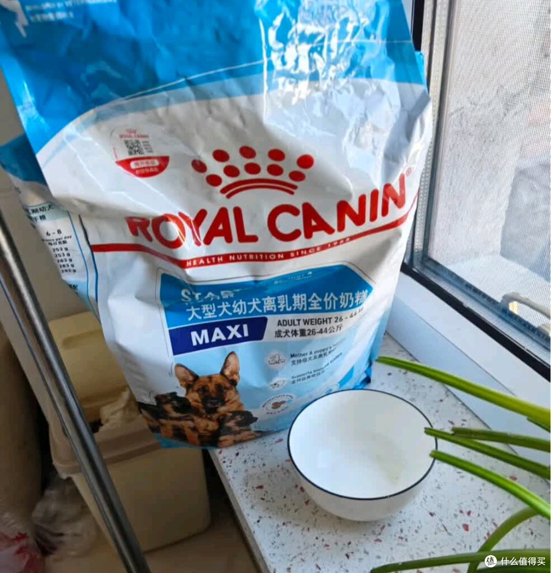 让毛孩子吃得健康——我的皇家狗粮体验