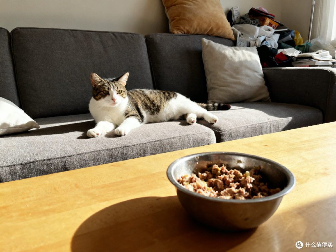 猫咪吃猫粮好还是自制猫饭好?一起拆解爆款自制猫饭辅食机食谱