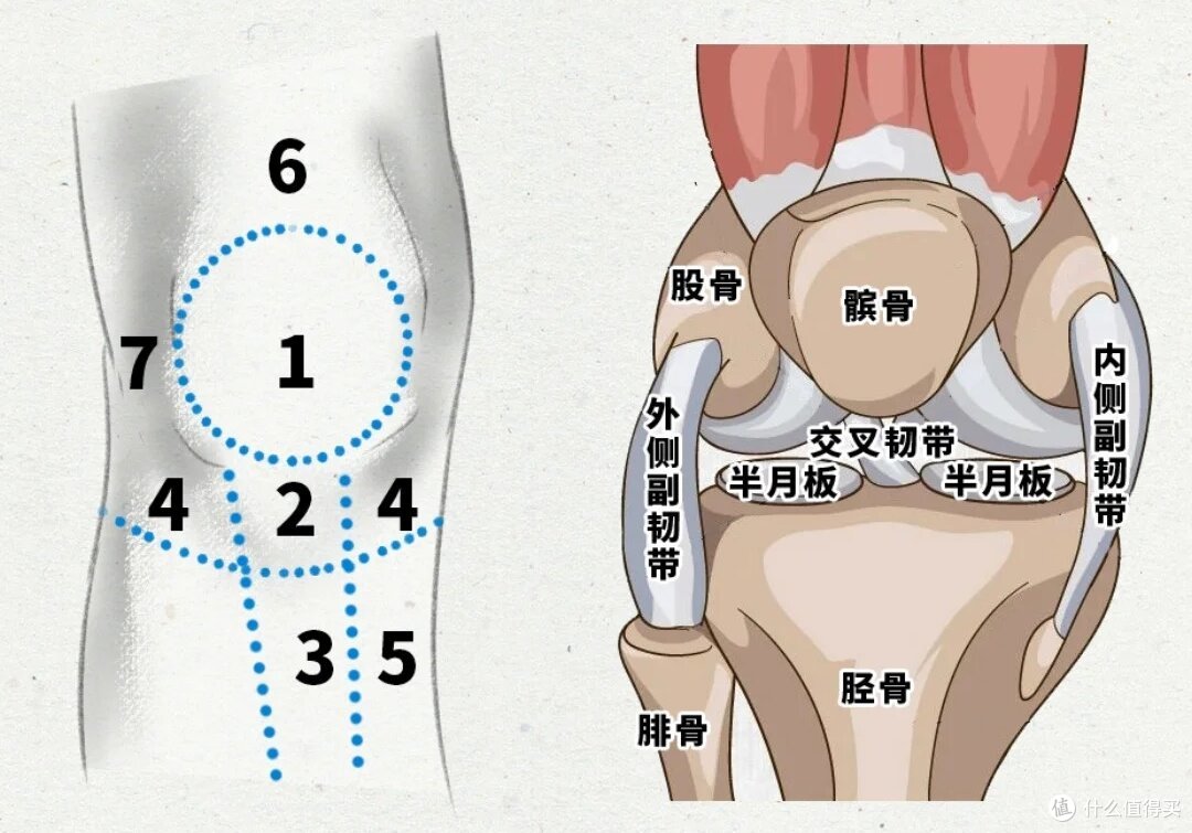 别让跳操“跳”走你的膝盖!专家揭秘:这样跳,不伤膝还高效!