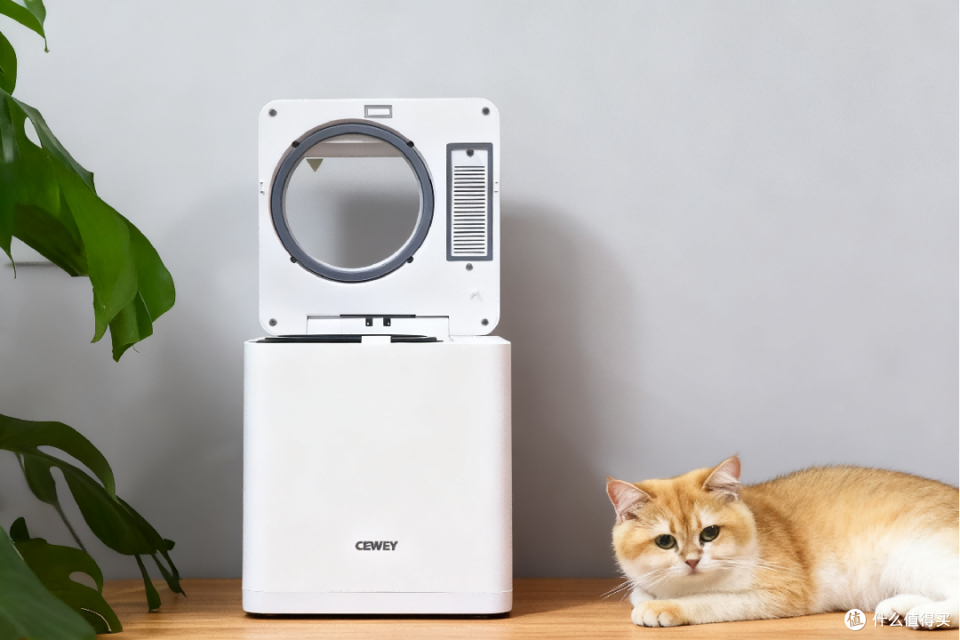 自制猫饭和猫粮哪个好?自制猫饭成分公开!猫靓毛通便原因全知道