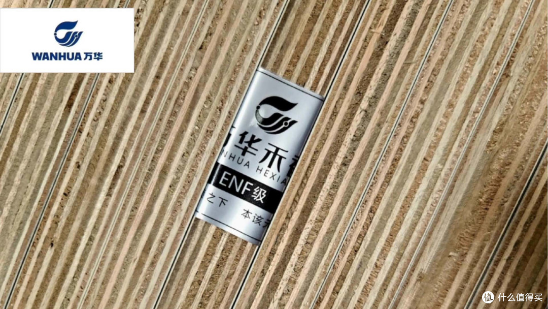 哪些板材品牌受欢迎?2025年板材行业十大受欢迎品牌