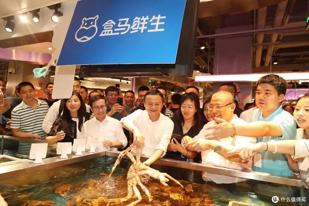 盒马创始人侯毅宠物鲜食项目停摆：开业 9 个月即大规模关店