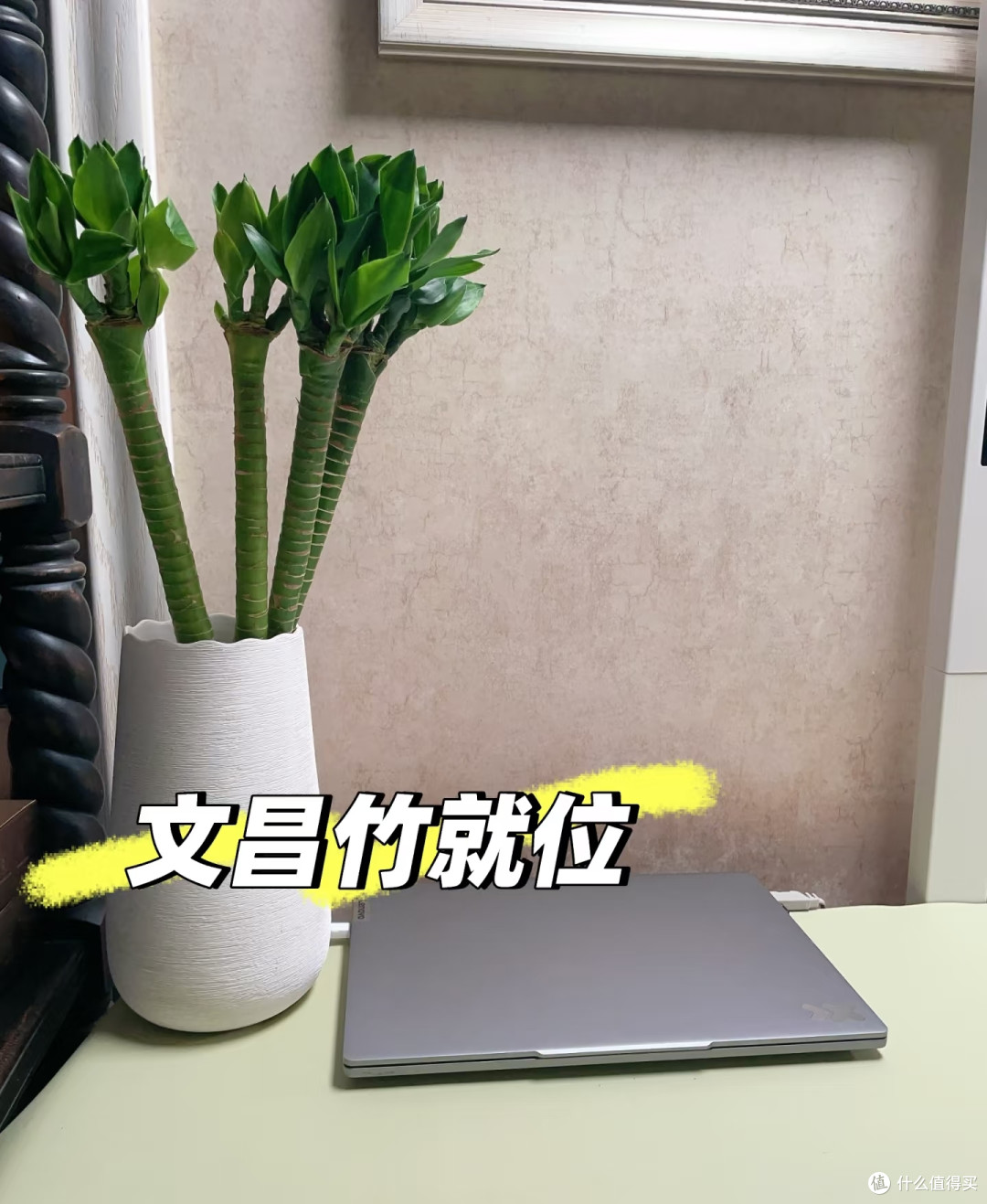 江苏一阿姨，“文昌竹养的又肥又旺”，网友：寓意节节高升！