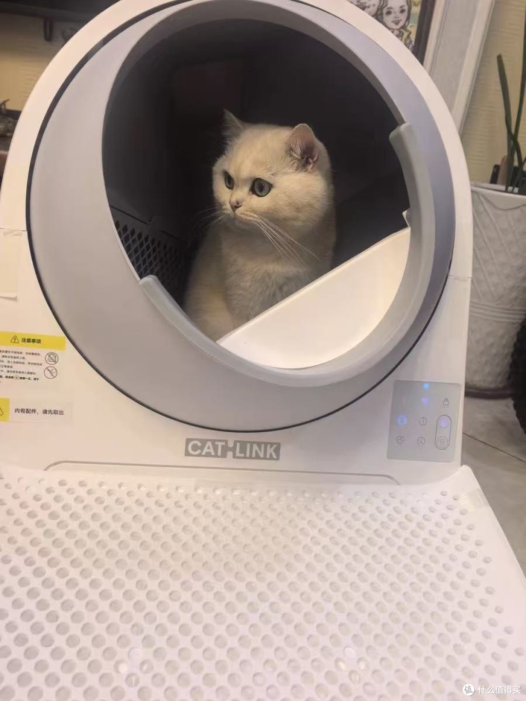 告别铲屎烦恼!CATLINK Pro-X智能猫砂盆真实体验分享