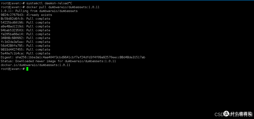 高效运维：DumbAssets固定资产平台的Docker化部署与实践