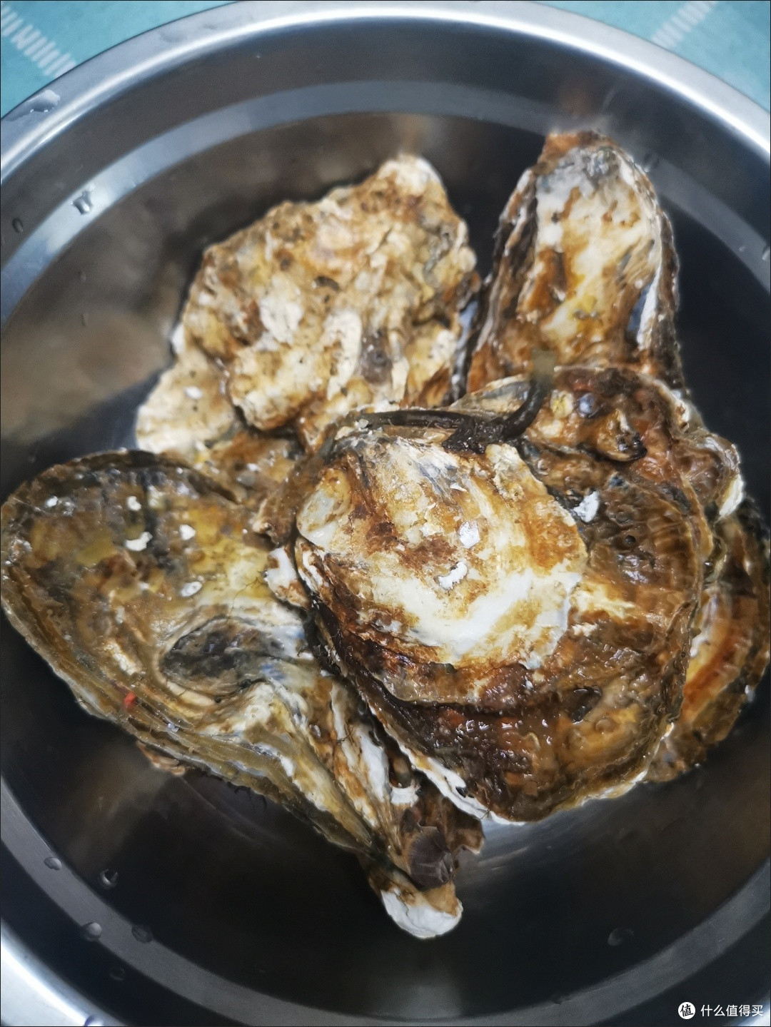 双十一海鲜囤货王！蜀皇生鲜8斤乳山生蚝，鲜活爆汁太解馋