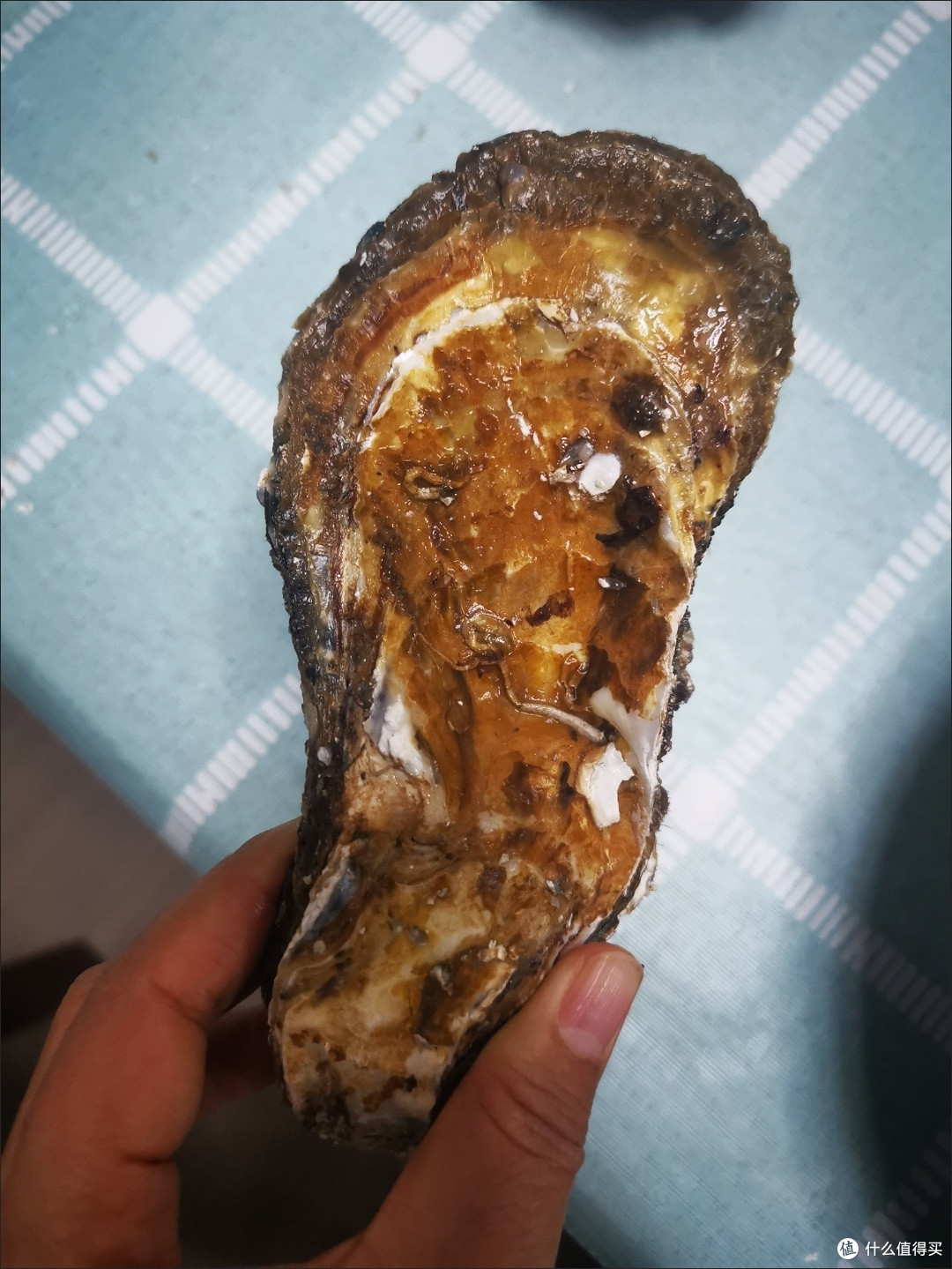 双十一海鲜囤货王！蜀皇生鲜8斤乳山生蚝，鲜活爆汁太解馋