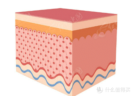 淡纹抗皱精华液的危害有多大?远离“无效还伤肤”的3大陷阱