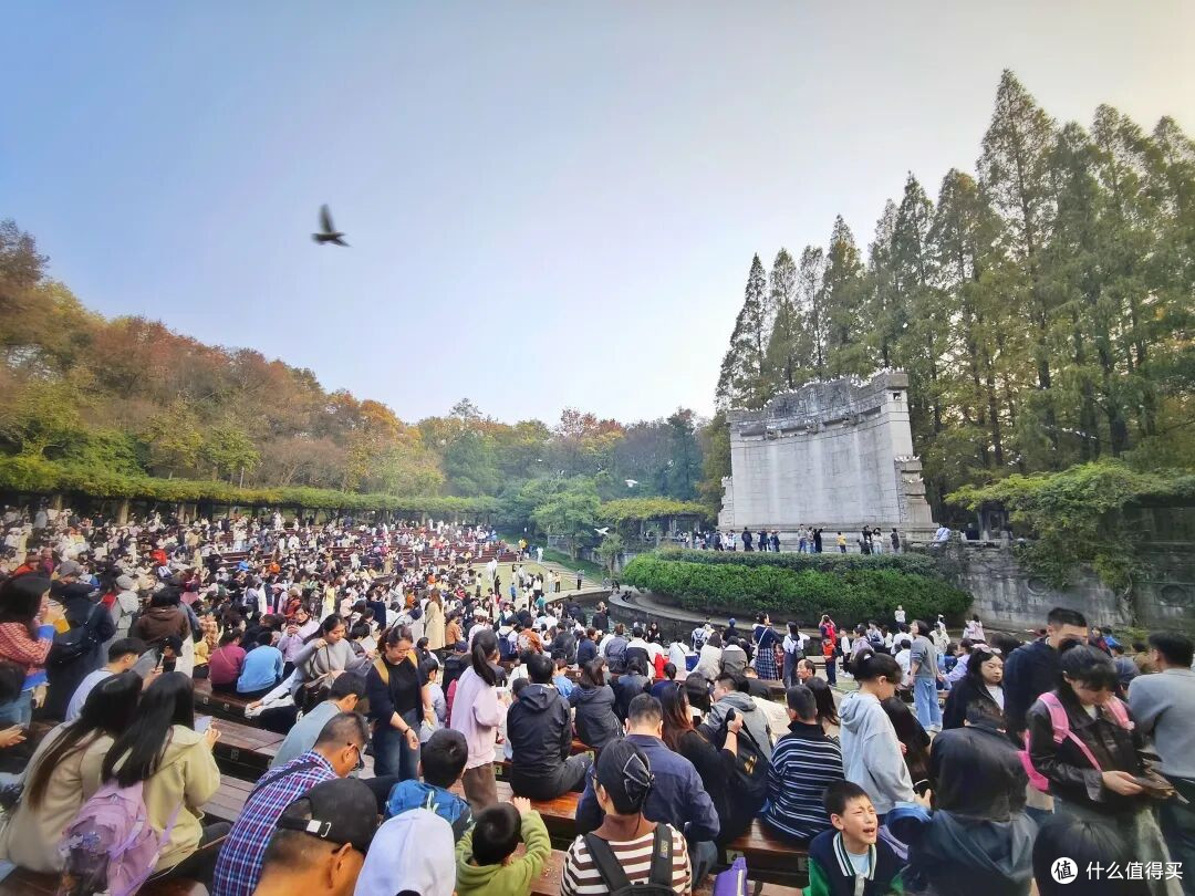 双十一囤游封神！南京音乐台门票，解锁森系治愈时光