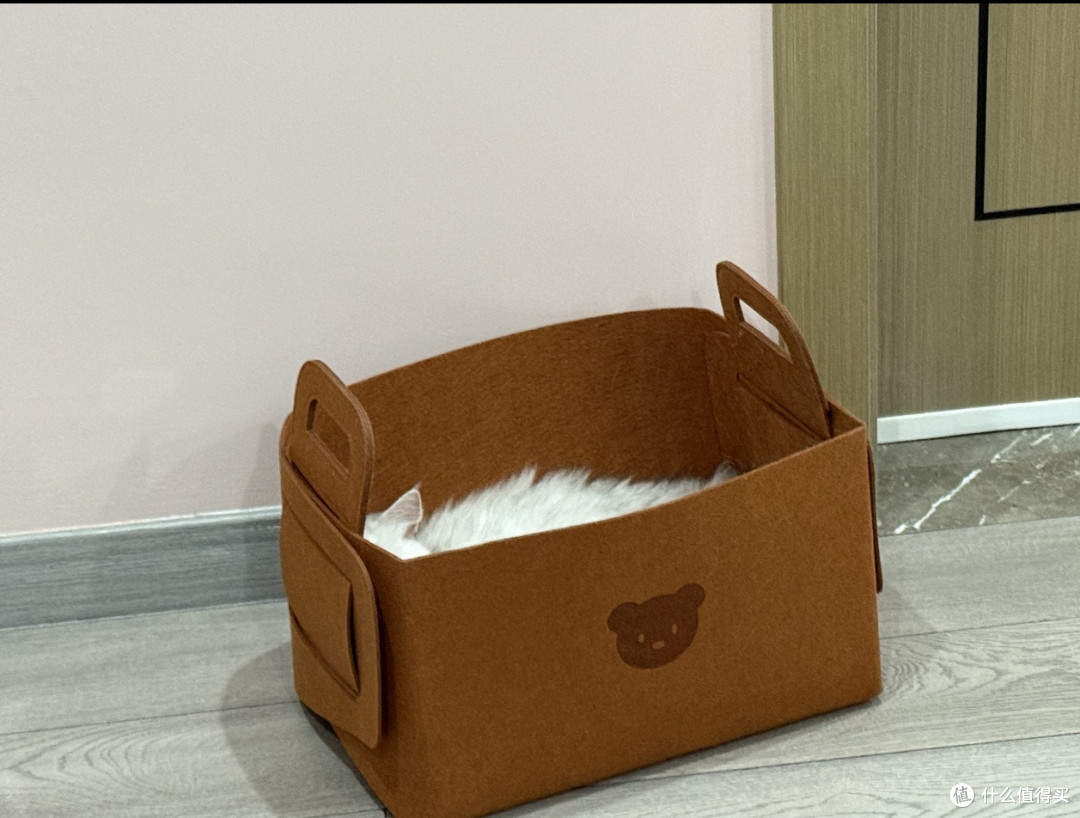 双11养宠推荐:巅峰猫粮体验