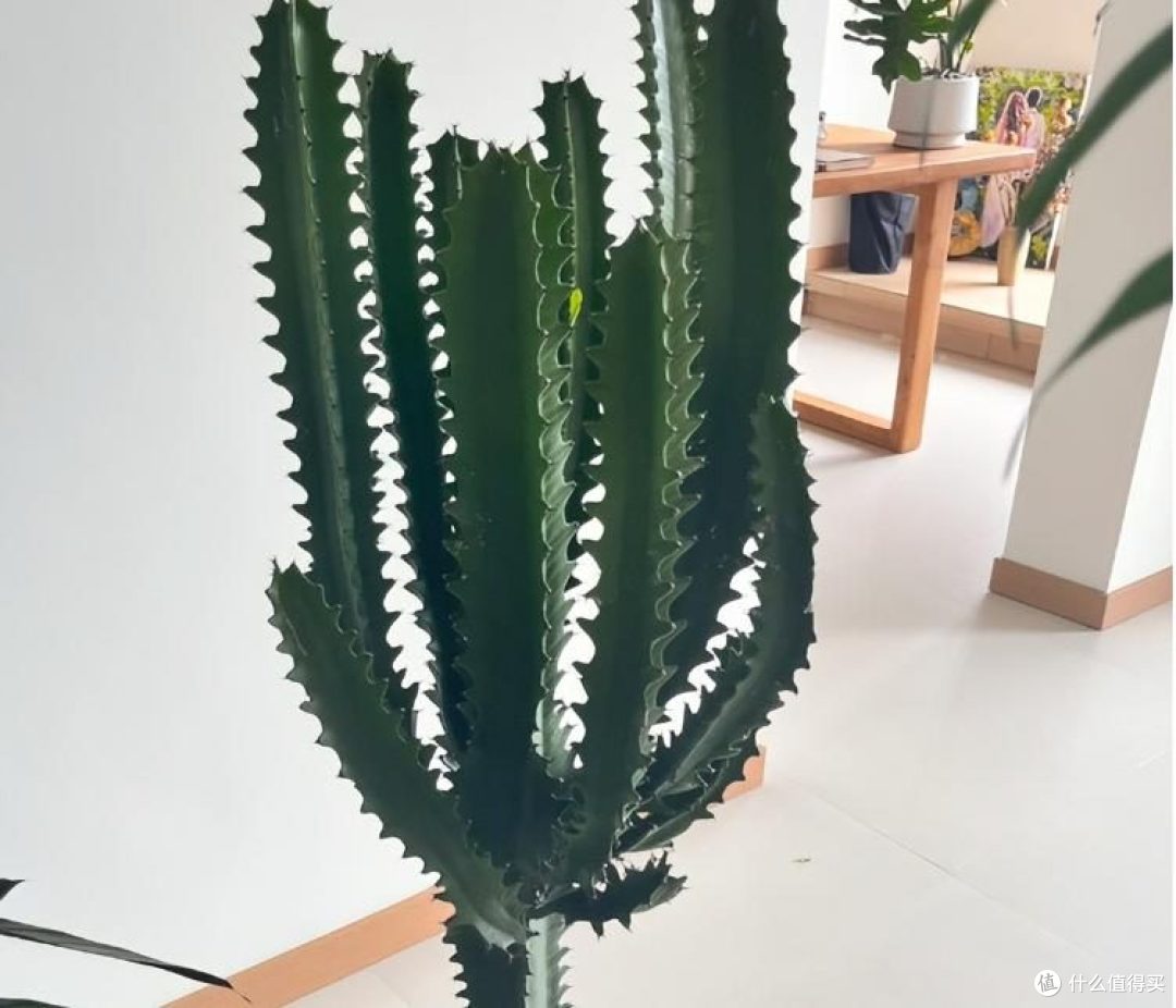 客厅不要放这些物品,朋友家就是反面教材,内行人看完,直摇头!