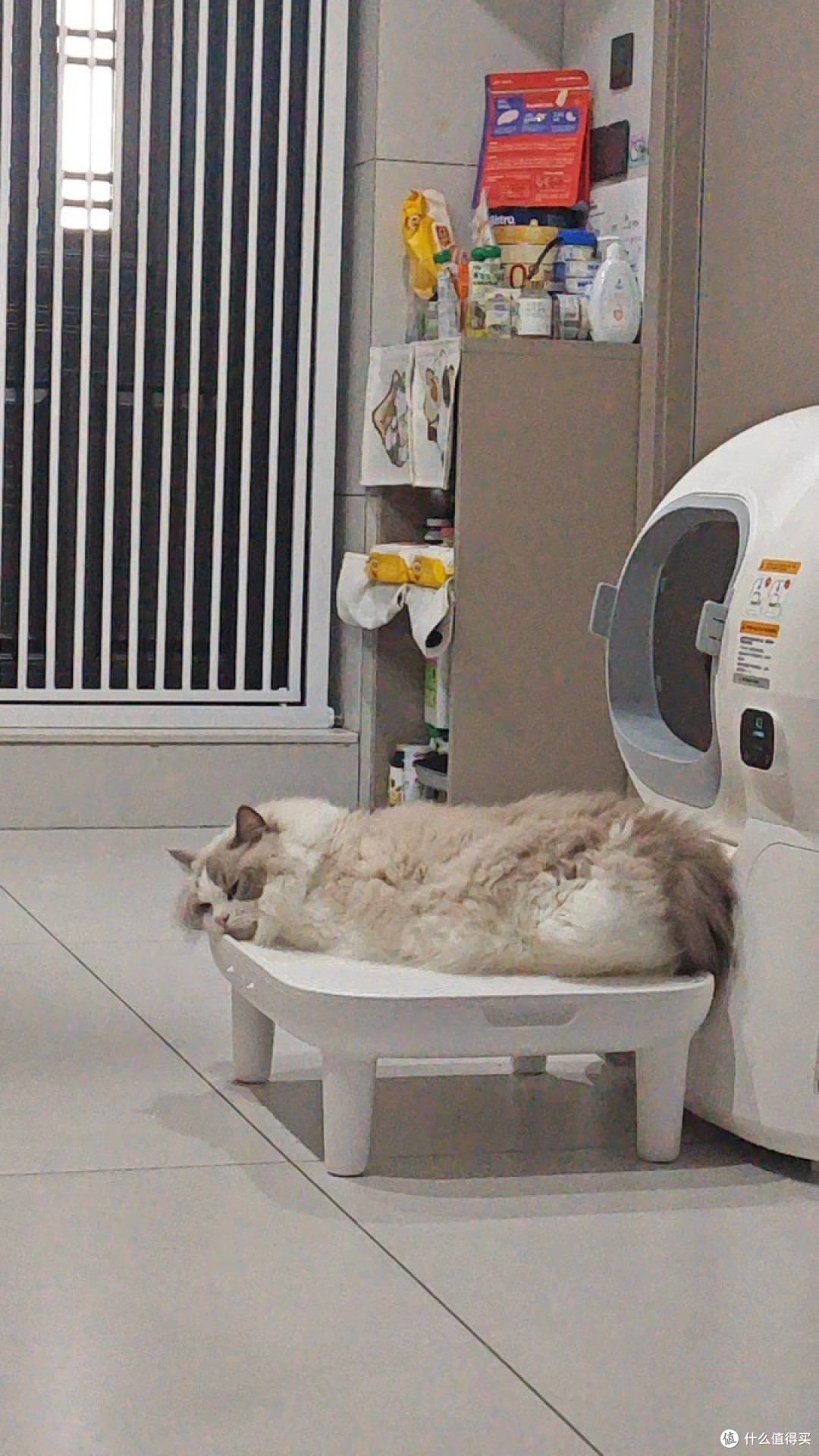 被霍曼智能猫厕所封神!养猫人终于解放双手